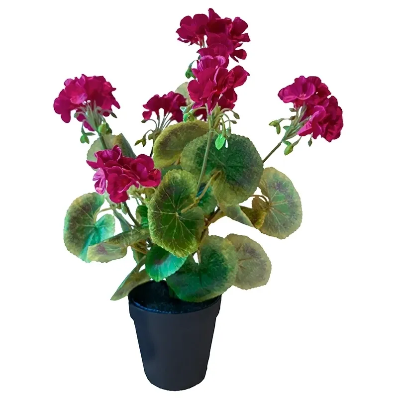 Buy Storkenæb, geranium, UV, 38cm, kunstig blomst