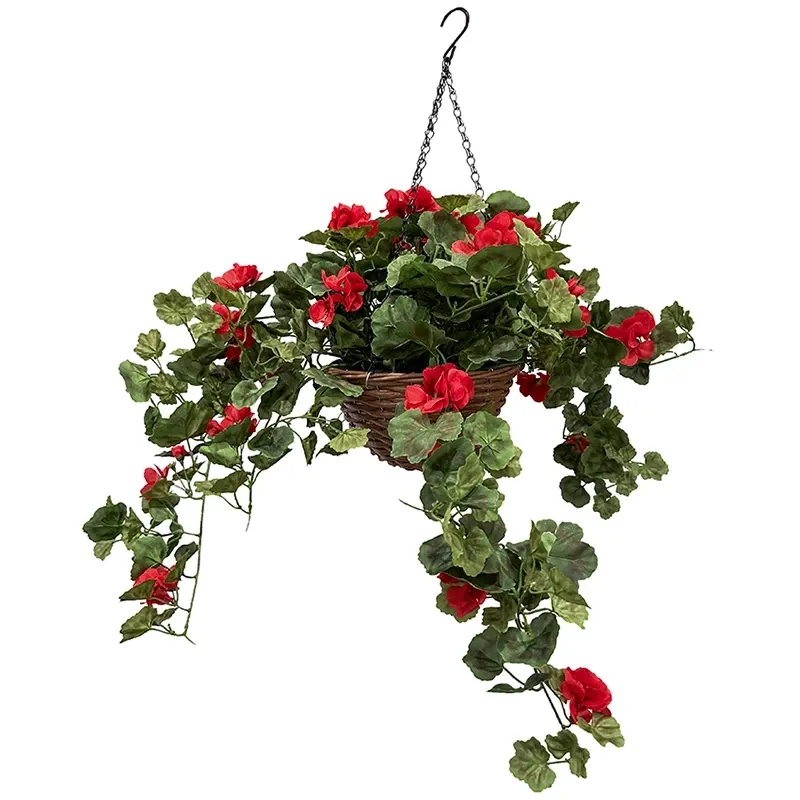Buy Storkenæb, geranium, hænger i kurv, UV, 45cm
