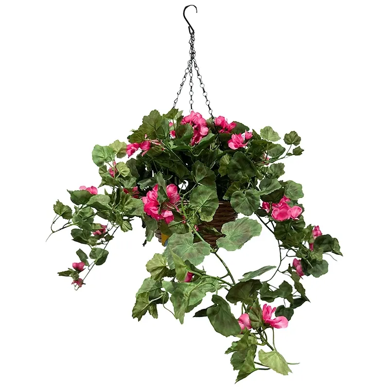 Buy Storkenæb, geranium, hænger i kurv, UV, 45cm