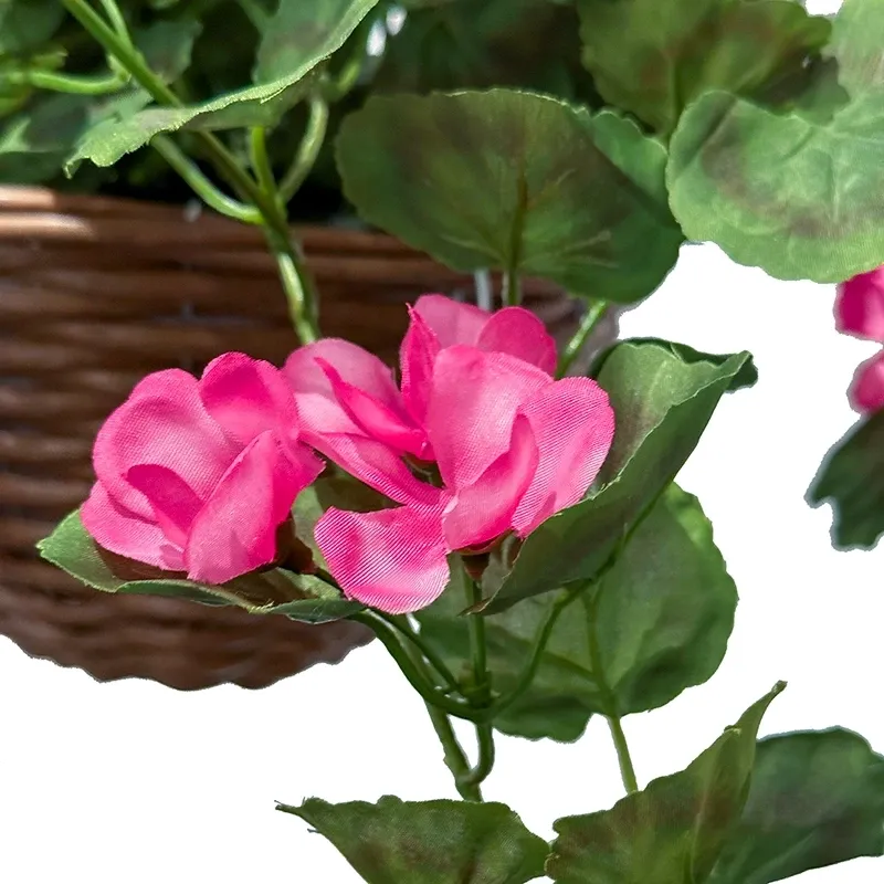 Buy Storkenæb, geranium, hænger i kurv, UV, 45cm