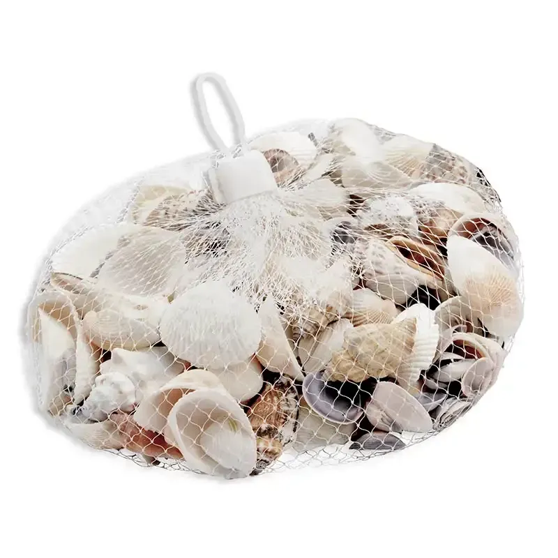 Buy Strandskaller ca. 400g pr net