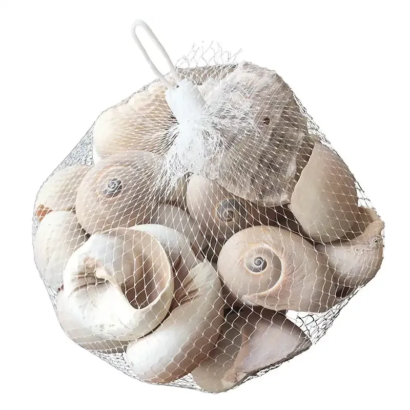 Buy Strandskaller ca. 400g pr net