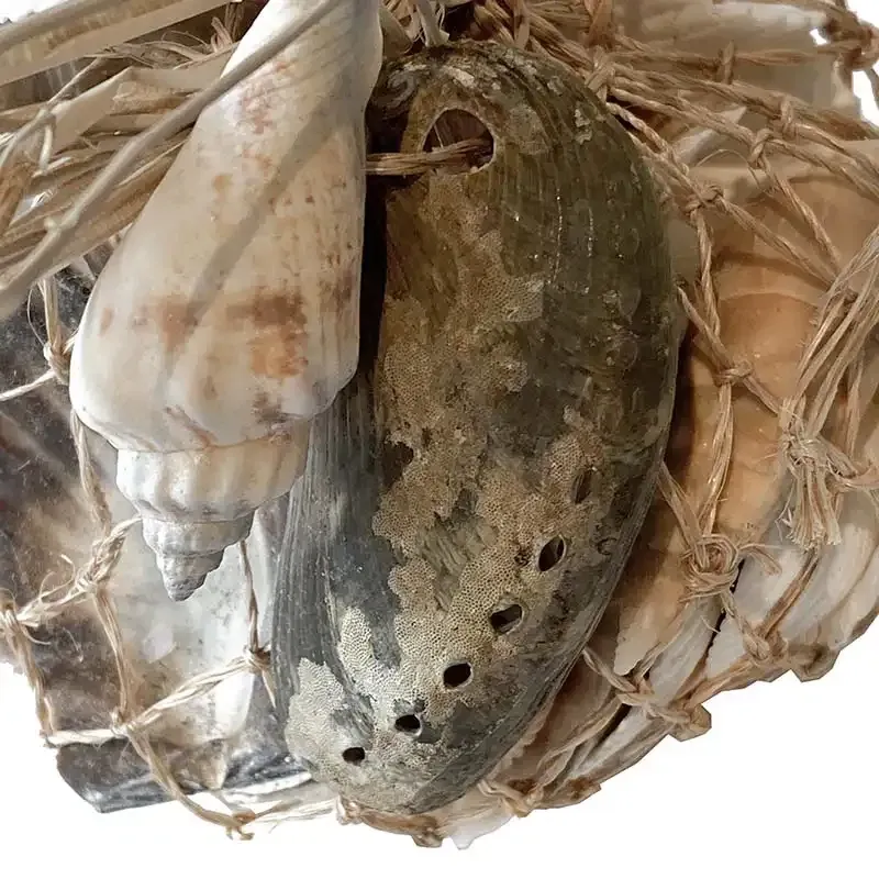 Buy Strandskaller i net, 300g, assorteret