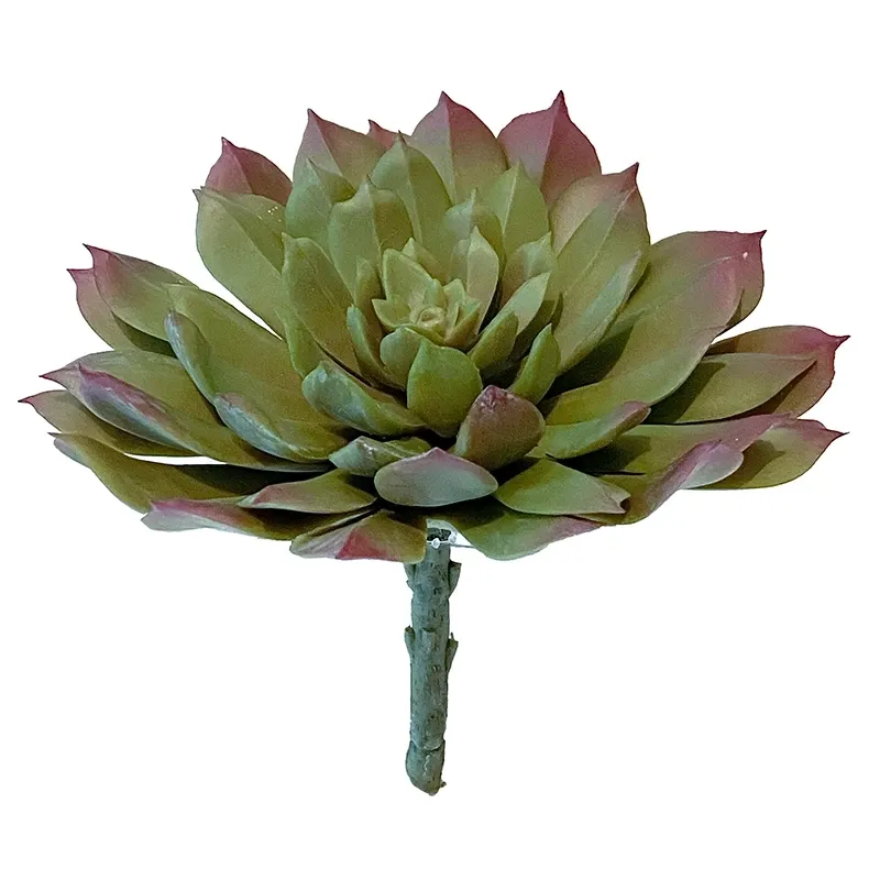 Buy Sukkulent, aeonium, 15cm, kunstig plante