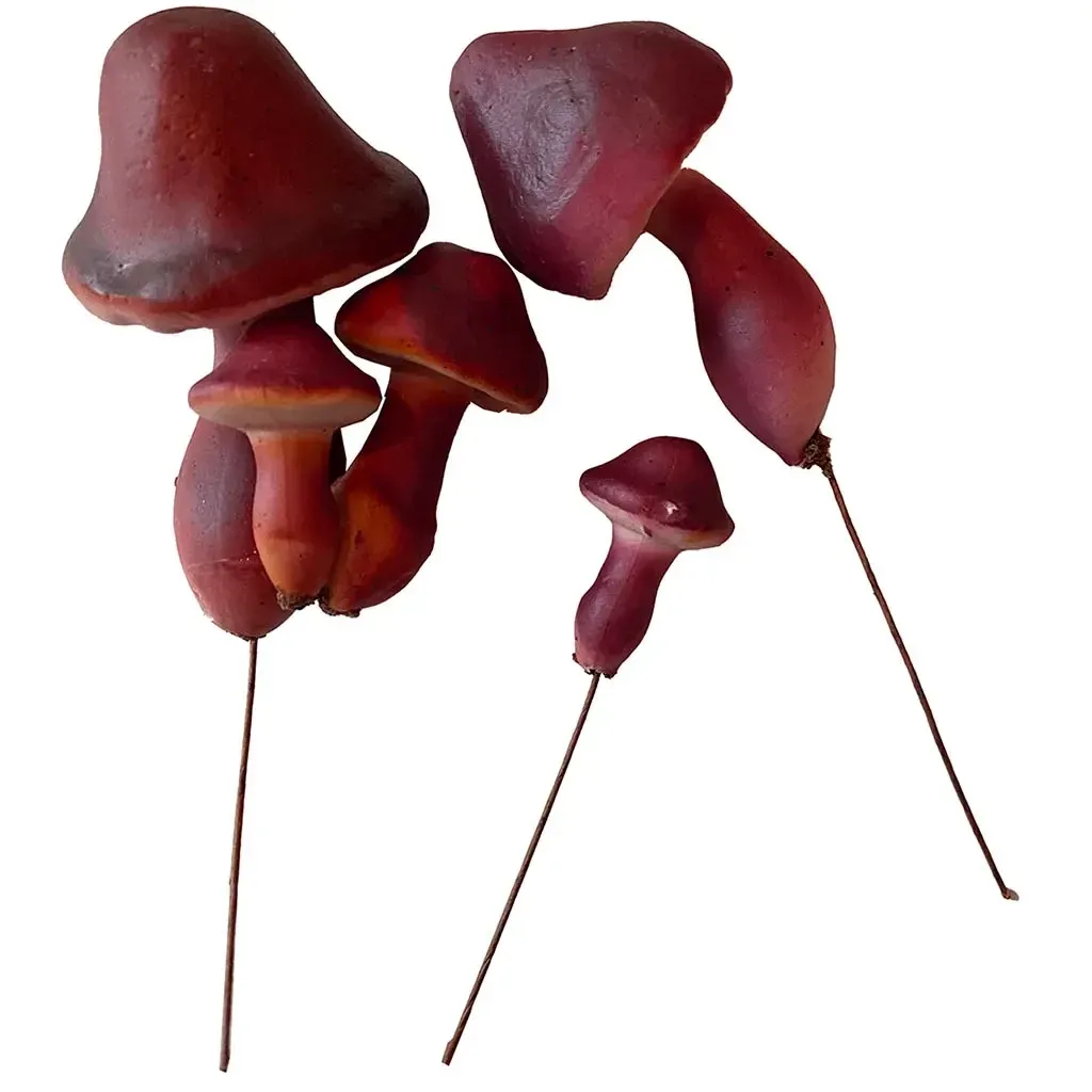 Køb Svampe på ståltråd, ass. 24stk, plastik svampe