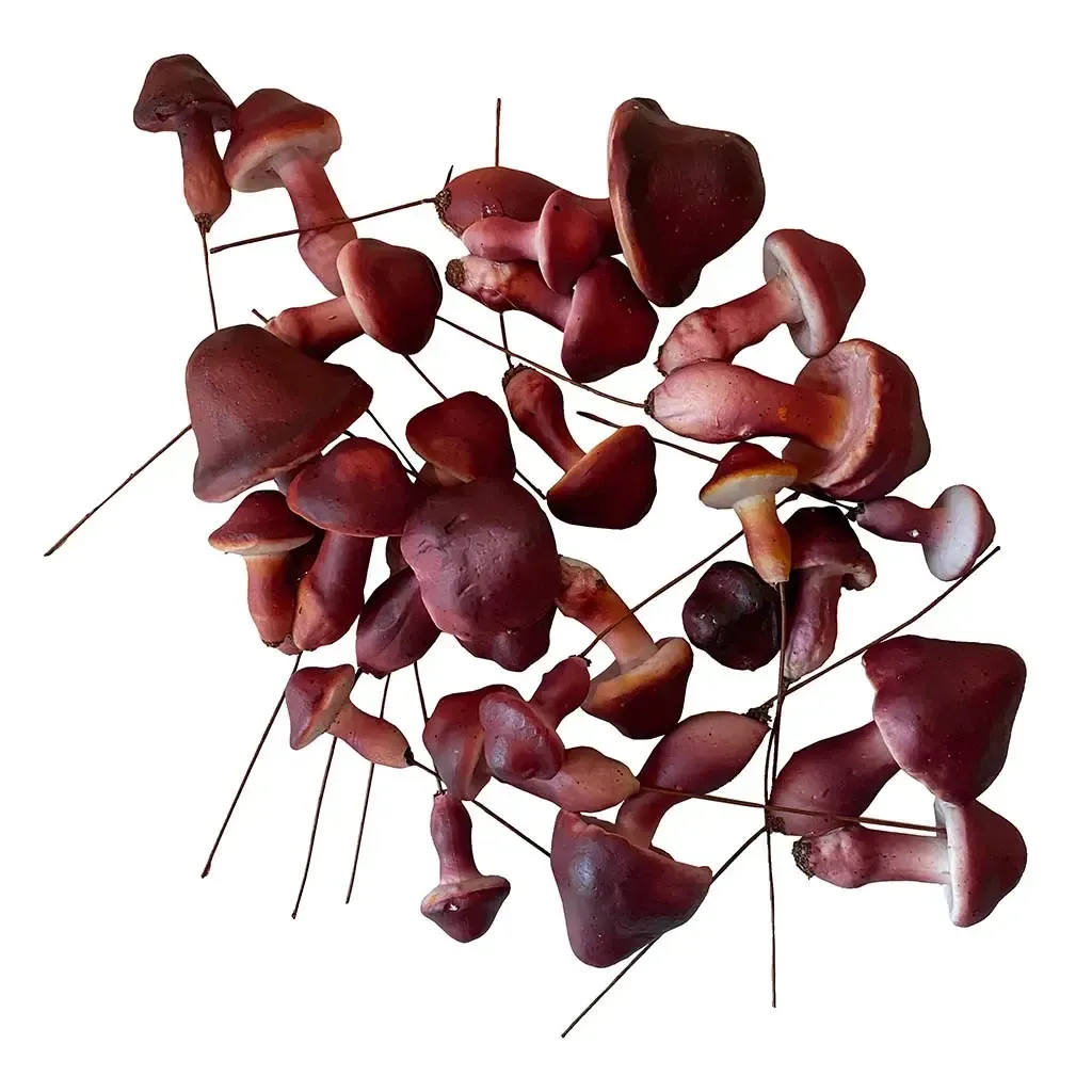 Køb Svampe på ståltråd, ass. 24stk, plastik svampe