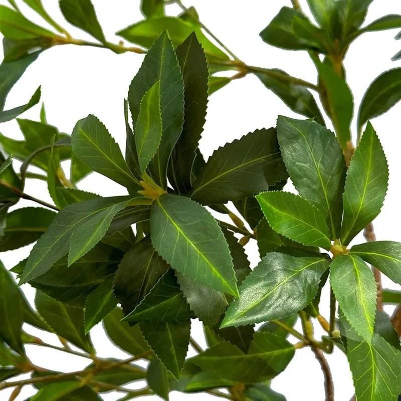 Buy Tea træ, 185cm. kunstig plante