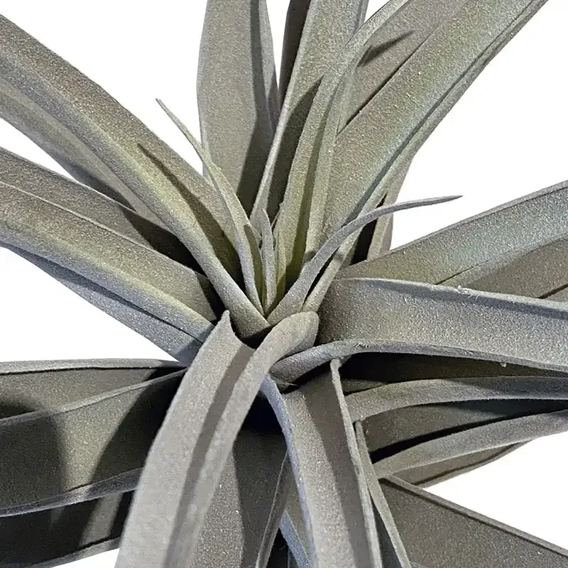 Buy Tillandsia på stilk, 40cm, kunstig plante