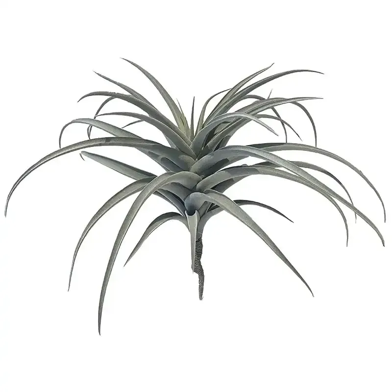 Buy Tillandsia på stilk, 40cm, kunstig plante