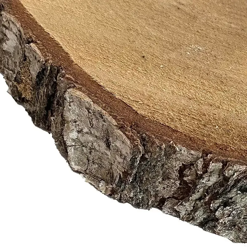 Buy Træskive birketræ Ø43-47