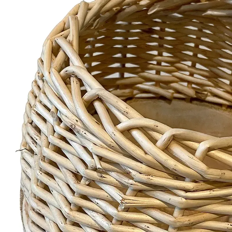 Buy Trævase med flet, paulownia træ, H28cm