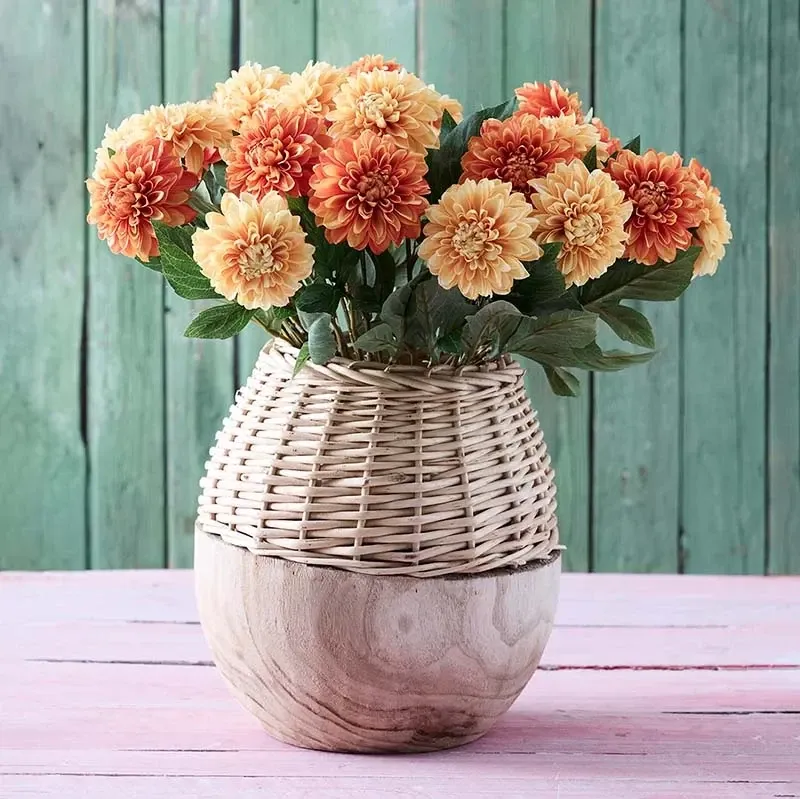 Buy Trævase med flet, paulownia træ, H28cm