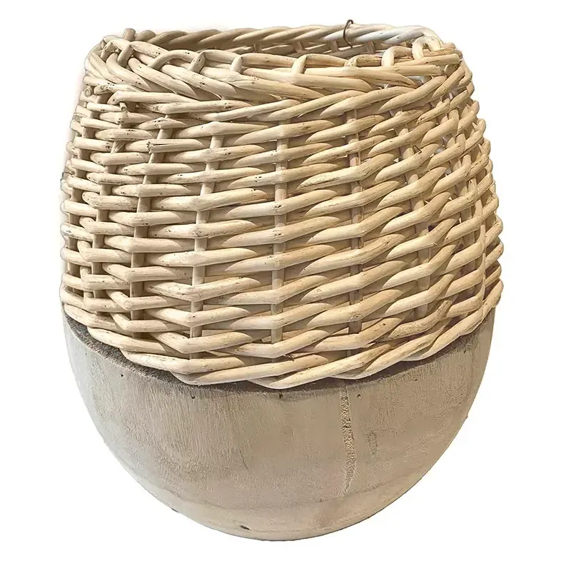 Buy Trævase med flet, paulownia træ, H28cm