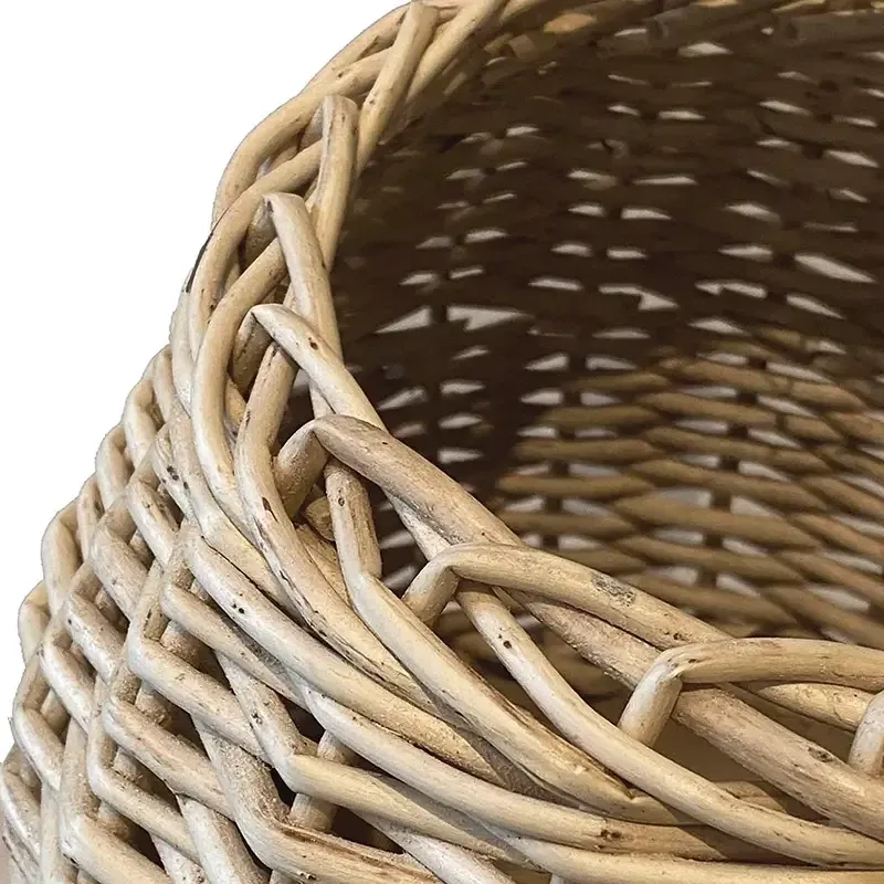 Buy Trævase med flet, paulownia træ, H38cm