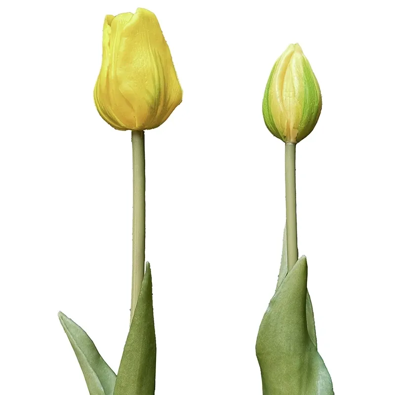Buy Tulipan gaveæske, 46cm, 12 stk/æske, kunstige