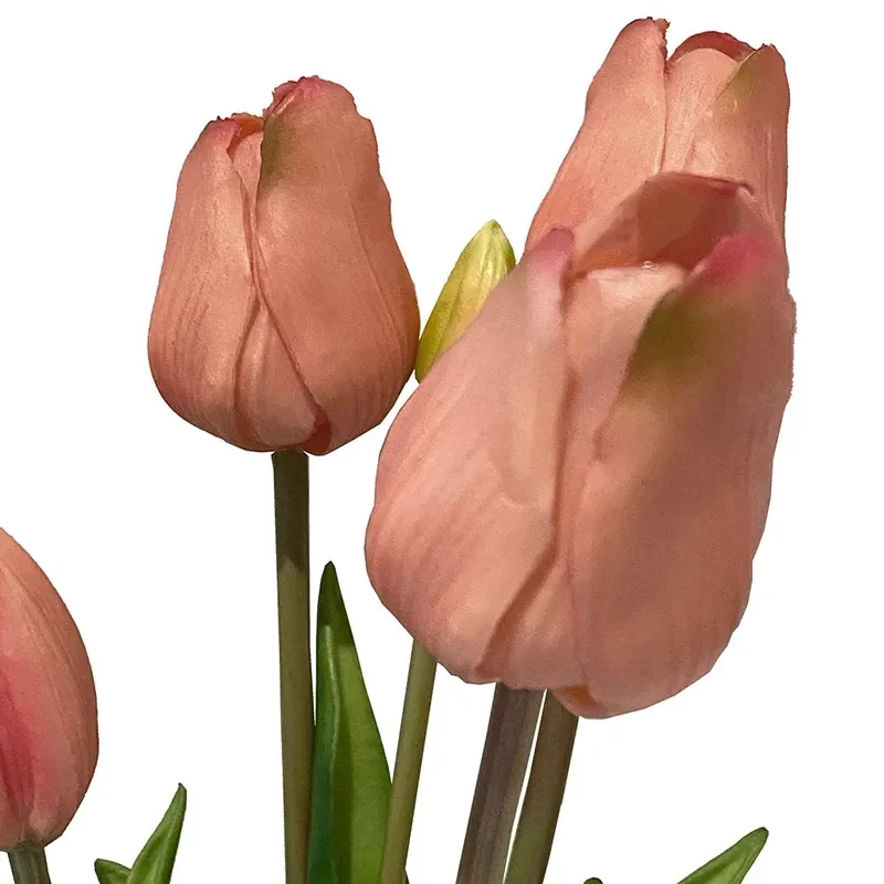 Buy Tulipanbuket, 47cm med 7 blomster fersken