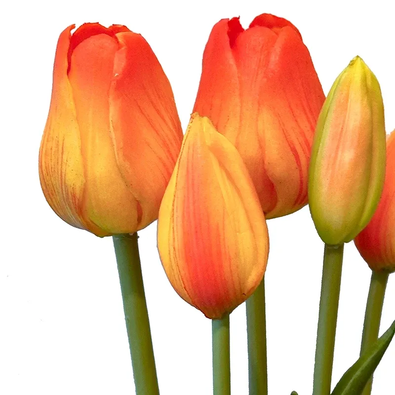 Buy Tulipanbuket, 47cm med 7 blomster orange