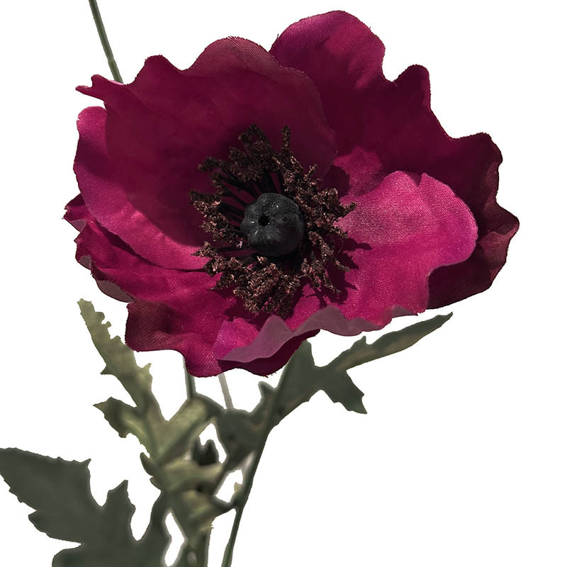 Buy Valmue, 68cm, kunstig blomst