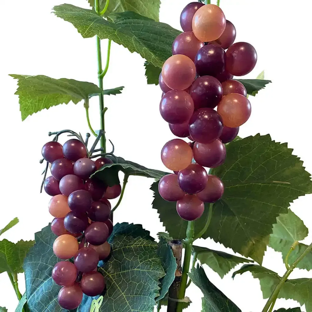 Buy Vinplante m vindruer, flettet potte, 120 cm