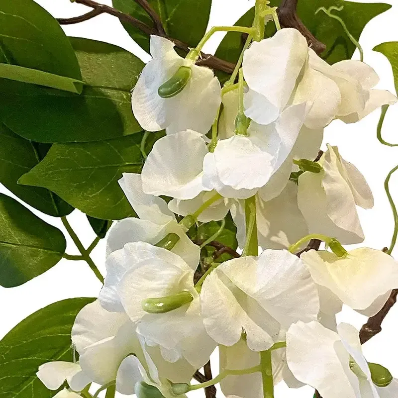 Buy Wisteria, hvid blåregn, 145cm, kunstig