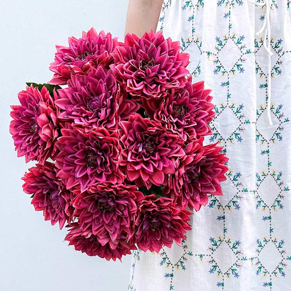 Brøndsholm - kunstig dahlia