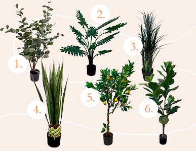 Brøndsholm - julegaveguide - planter over 500kr.