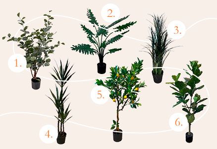 Giftguide - planter over 500kr - Brøndsholm