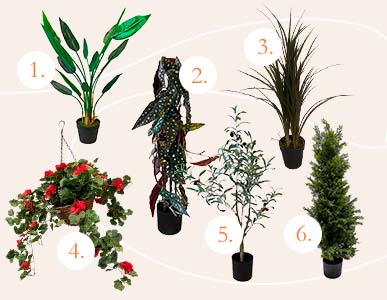 Brøndsholm - julegaveguide - planter under 500kr.