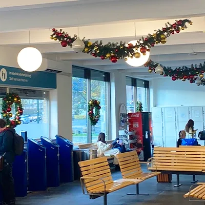 Brøndsholm - Go Nordic Cruiseline Juledekorationer