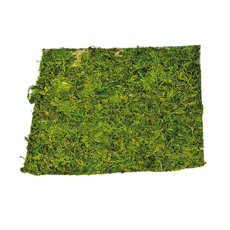 Grønt naturmos på papirplade i 30 x 30 cm - se det her!