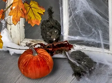 Kunstige rotter og græskar af velour til Halloween pynt