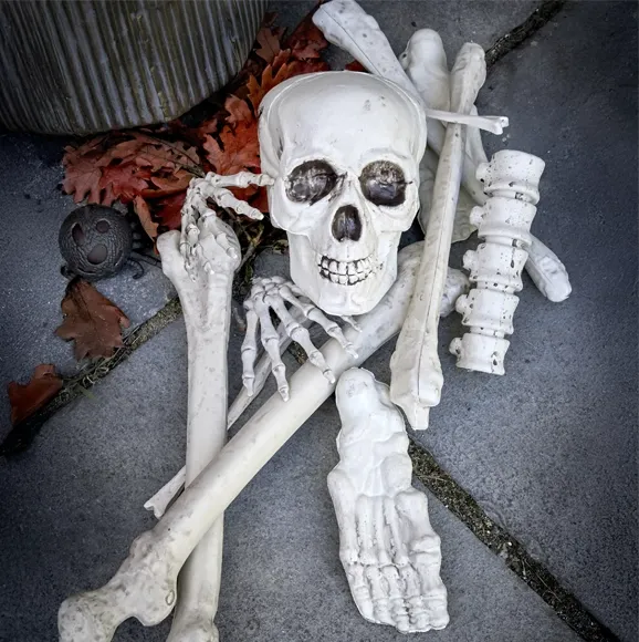 Halloween pynt skelet af plast i 12 dele