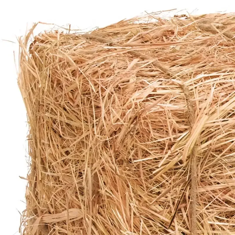 Halmballe til høsttema i din forretning - stor model - fra B