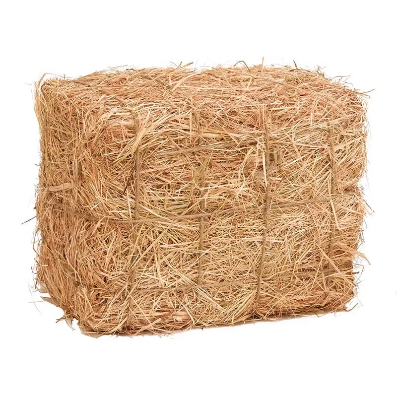 Halmballe til høsttema i din forretning - stor model - fra B