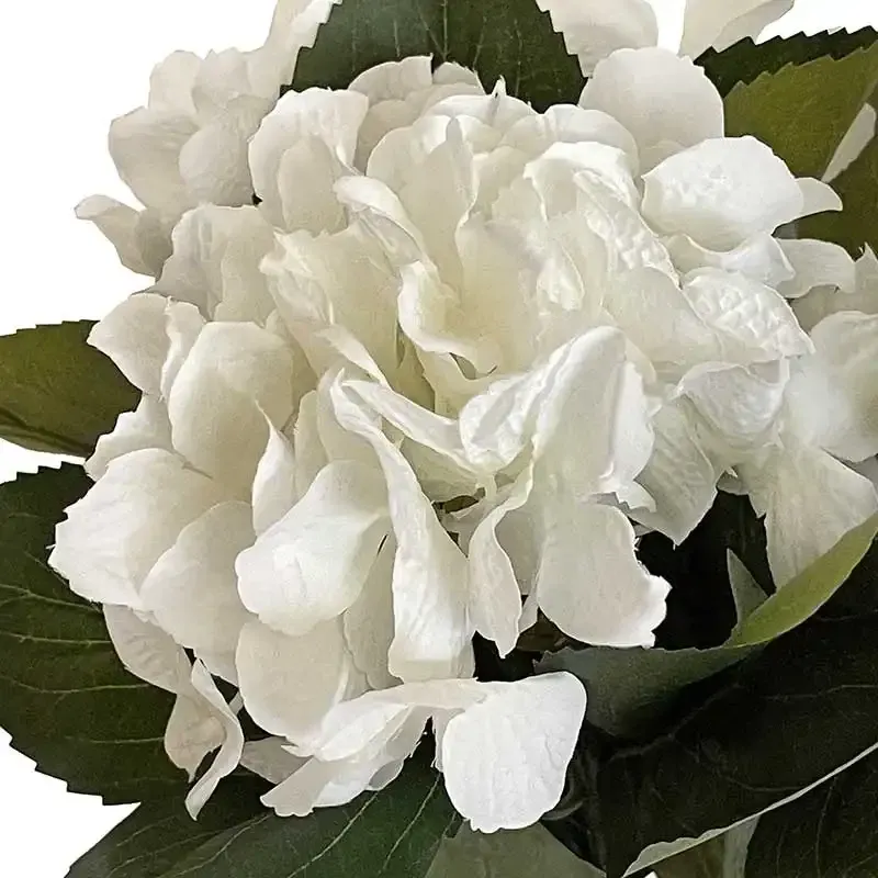 Hortensia-bukett, 45 cm med 5 stjälkar Vit I Köp