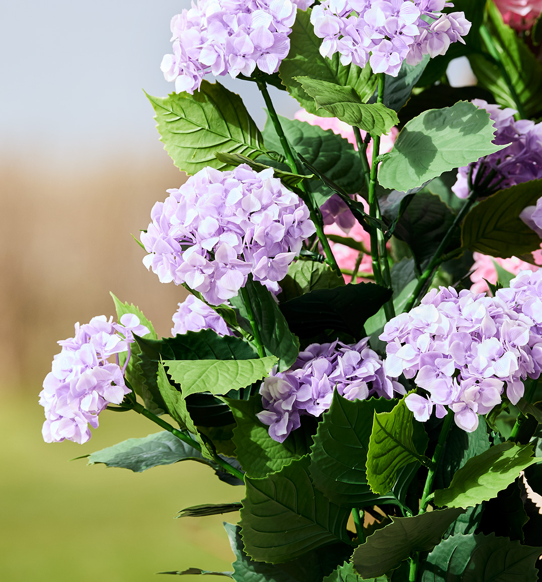 Brøndsholm - Hortensia i potte - UV beskyttet - lilla