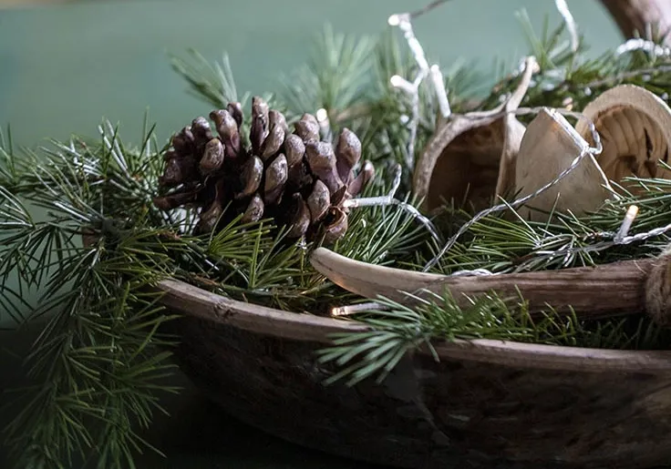 Juledekoration med kunstig gran og ægte kogler i træfad