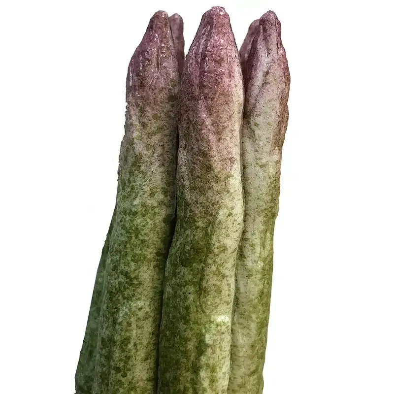 Køb Asparges bundt m/8 stk, 20 cm, kunstig mad hos Brondsholm.dk