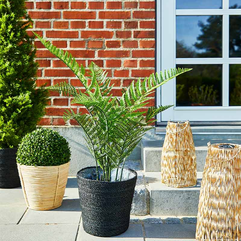 Køb Bregne, UV, 90cm, kunstig plante