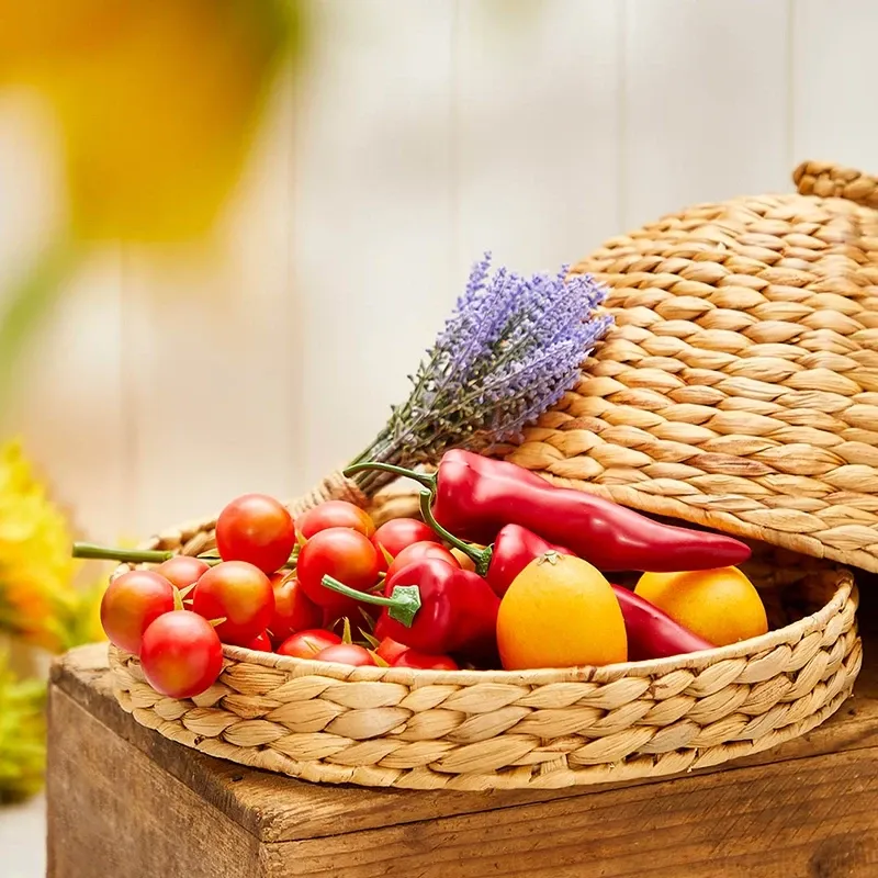 Køb Citron, kunstig mad hos Brondsholm.dk