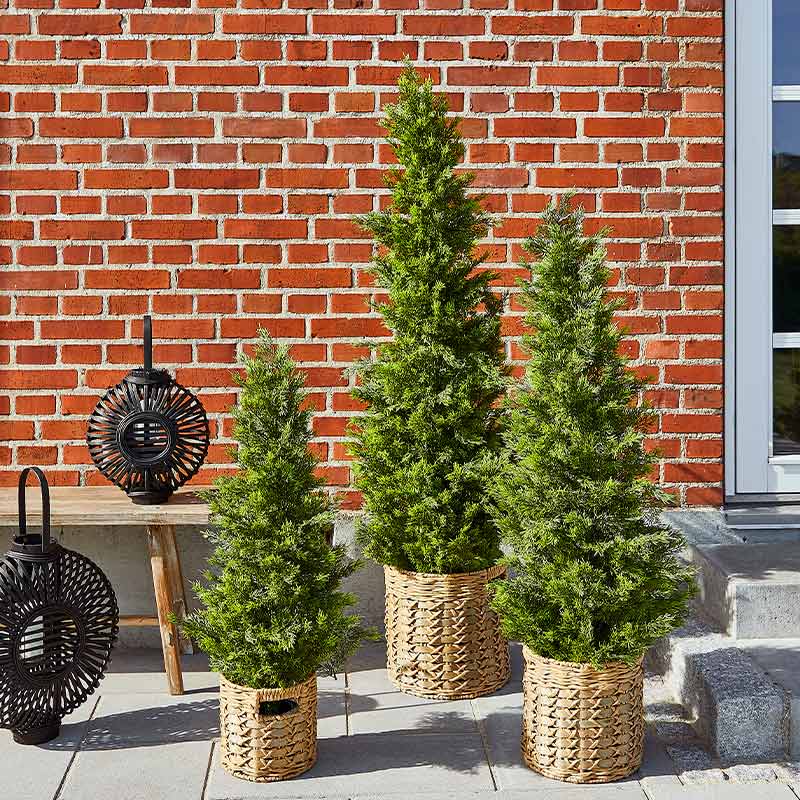 Køb Cypress træ, UV, kunstigt træ