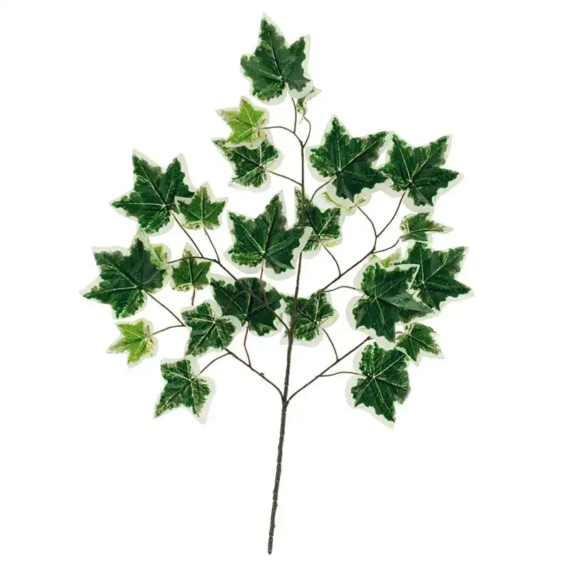 Køb Efeu kvist hos Brondsholm.dk