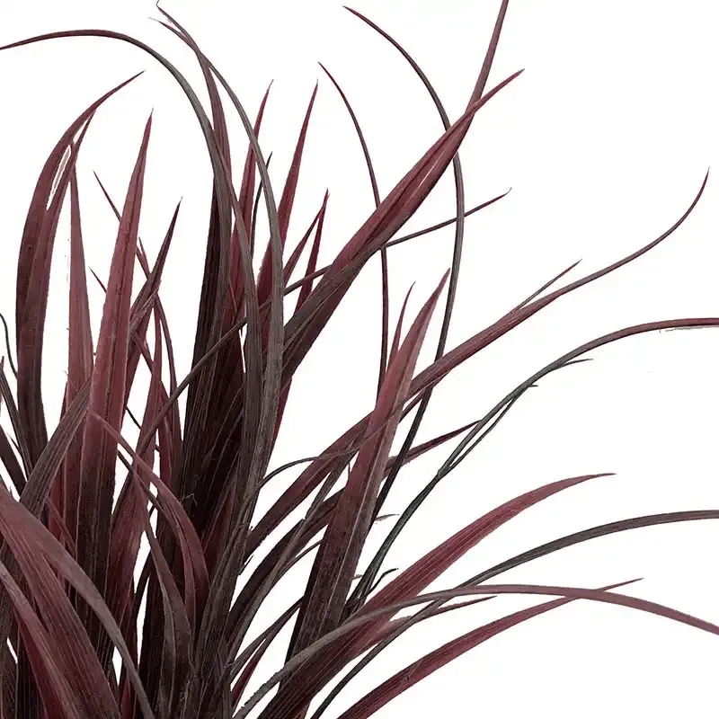 Køb Efterårsgræs, bordeaux, 50cm, kunstig plante hos Brondsholm.dk