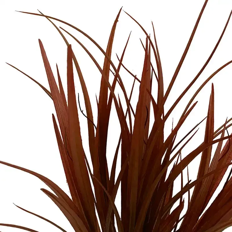 Køb Efterårsgræs, rød-orange, 50cm, kunstig plante hos Brondsholm.dk
