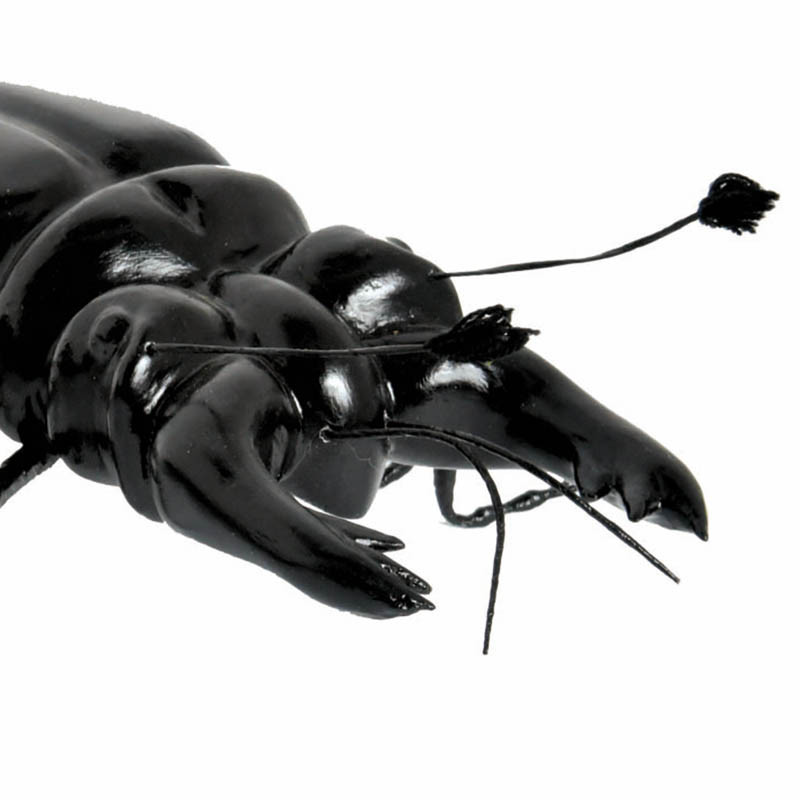 Køb Eghjort bille hos Brondsholm.dk