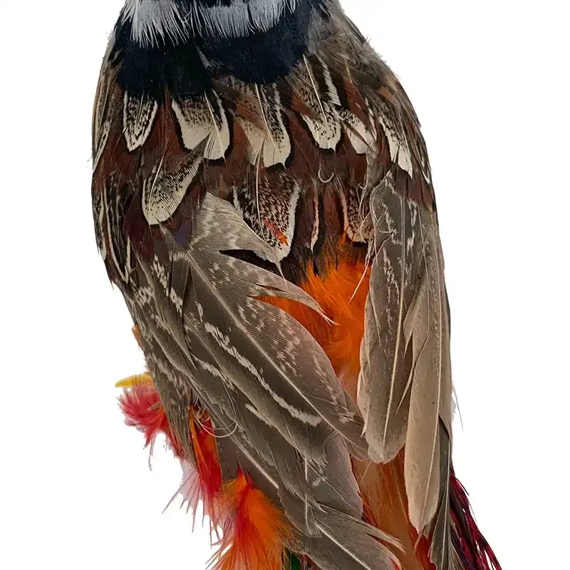 Køb Fasan, stående, ca. L35cm, kunstig dyr hos Brondsholm.dk