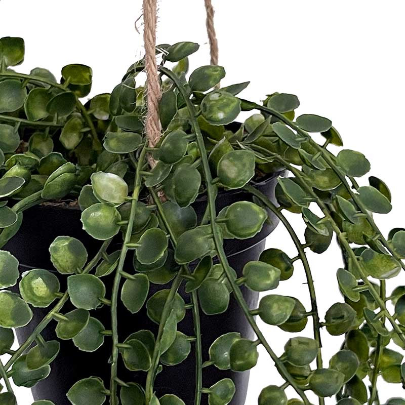 Køb Figen hænger i potte, 60cm, kunstig plante