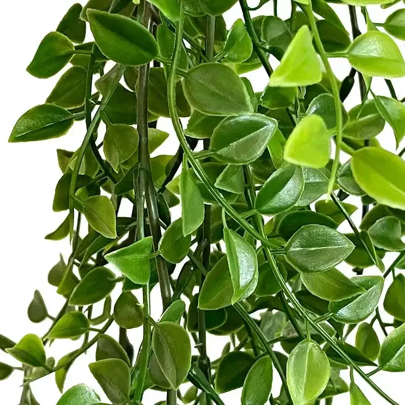 Køb Figen hænger, 80cm, UV, kunstig plante hos Brondsholm.dk