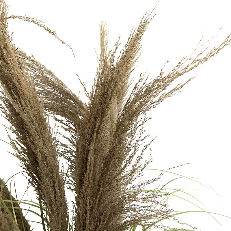 Køb Fjergræs i sort potte, 140cm, kunstig græs hos Brondsholm.dk