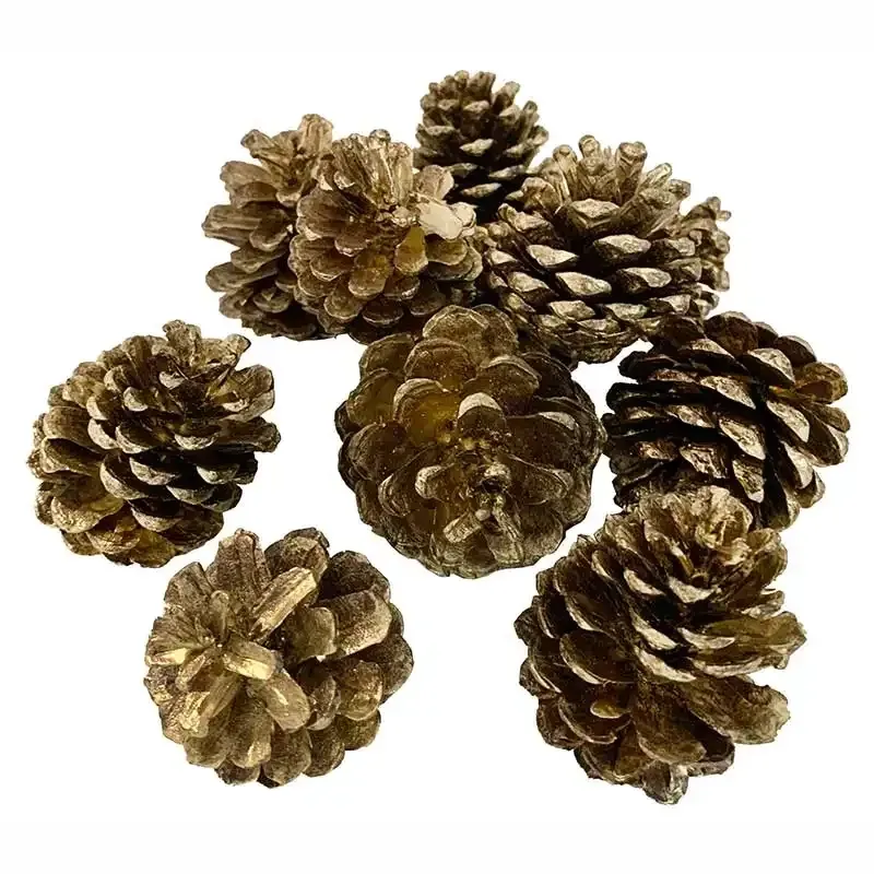 Køb Gran kogler, guld, 250g hos Brondsholm.dk